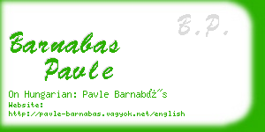 barnabas pavle business card